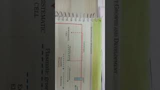 Plant growth and development figure 138 sequence of development process in plant cell🙏 [upl. by Eelirrem]