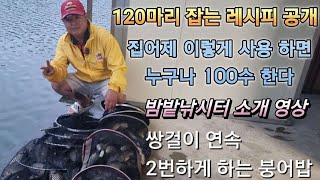 120마리 잡는 붕어밥 공개 빅포테이토 효과적으로 시용하는 방법 [upl. by Eilatam503]