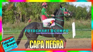 CAPA NEGRA  Laguna Naineck  Formosa 31072022 [upl. by Latreese]