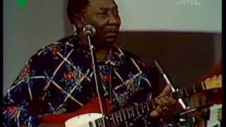 Muddy Waters in 1976 Kansas City superb cover [upl. by Spenser]