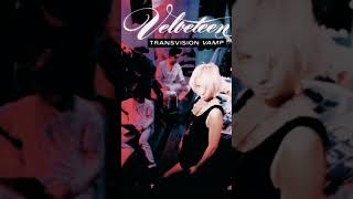 Transvision Vamp  Velveteen [upl. by Hadria]