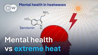 What extreme heat does to the human body – and mental health  DW News [upl. by Cynthie]