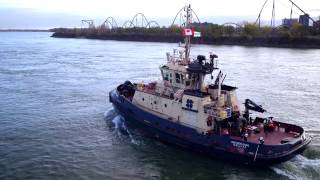 Svitzer in Montreal [upl. by Kulseth509]