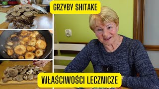 Grzyby Shitake i ich niezwykłe właściwości lecznicze  Twardnik Japoński czyli król wśród grzybów [upl. by Denby10]