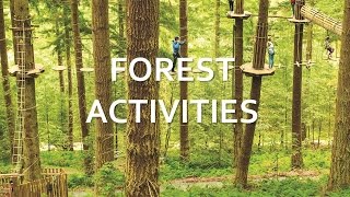 North York Moors  Forest Activities [upl. by Jenny584]