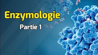 Structure et Caractéristiques des enzymes  Cours Enzymologie partie 1 [upl. by Allemat770]