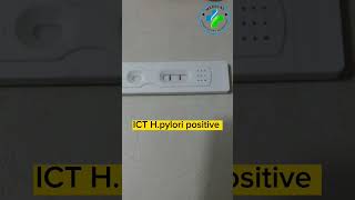 Hpylori Test  Hpylori infection  What is Hpylori  Hpyrlori positive  Helicobacter pylori [upl. by Garrett]