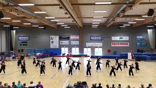 Qvindeholdet 2019 Vamdrup Gymnastikforening [upl. by Clauddetta]