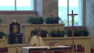 Memorial of St Jerome Monday Sept30 2024 800am Holy Mass with Fr Chinnappan Arockiasamy [upl. by Whall]