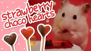 💘 Strawberry Choco Hearts  HAMSTER KITCHEN 💘 [upl. by Ronyam]