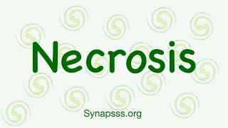 Necrosis definition morphology nuclear changes mechanisms types [upl. by Curran712]