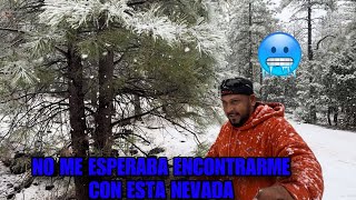 Una de las primeras nevadas en las montañas de Arizona ❄️🥶 [upl. by Zedecrem]