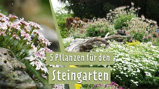 Steingarten mit tollen Blumen für Frühling und Sommer gestalten  MDR Garten [upl. by Atnahc]