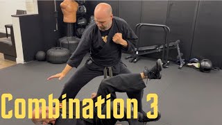 Combination 3  Shaolin Kempo Karate [upl. by Wilburt]