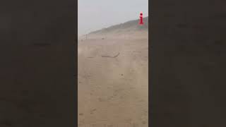 Watch Walkers Buffeted Along WestonSuperMare Beach During Storm Henk [upl. by Lulita]