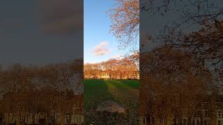 Hackney Downs Blue Gold [upl. by Modie]