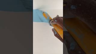 New bedroom colour indigo pent wall painting asmani colour new painting video short videonew [upl. by Alyac415]