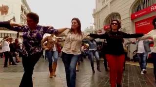 Flash Mob Colectividad Helenica Greek festival [upl. by Ydennek156]