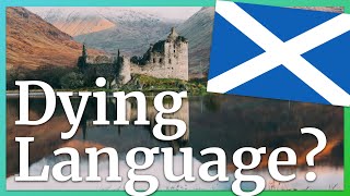 4 Reasons to Learn Scottish Gaelic Gàidhlig 🏴󠁧󠁢󠁳󠁣󠁴󠁿 [upl. by Euqinad]