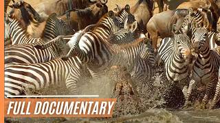 Amazing nature  Run to survive  Full Documentary [upl. by Anihpled]