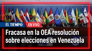 Fracasa en el Consejo de OEA una resolución que exigía a Venezuela revelar las actas de votación [upl. by Henghold937]