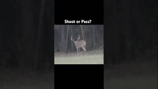 Are you shooting this buckhunting [upl. by Ia]