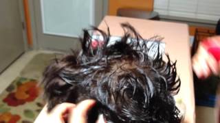 Parte II Como Aplicar la Infusion de Canela y Romero en el Cabello [upl. by Einahpet]