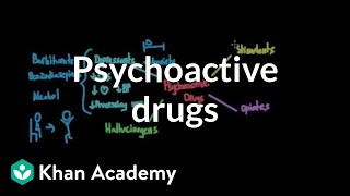 Overview of psychoactive drugs  Processing the Environment  MCAT  Khan Academy [upl. by Putnem667]