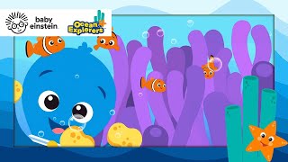 Working Together with Clown Fish Song  Ocean Explorers  Baby Einstein Toddler amp Kids Cartoons [upl. by Mrots961]