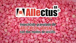 Allectus GR  Maíz [upl. by Oler]