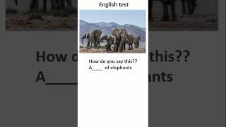 Take this english test shorts ytshorts youtubeshorts ssonlinetutor englishtest quiz test [upl. by Asinet]