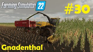 LS22 Gnadenthal 30 Mais häckseln mal etwas anders als sonst  Farming Simulator 22 [upl. by Hinckley]