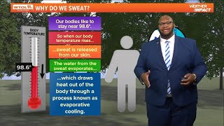 Why do we sweat  WTOL 11 Weather Impact [upl. by Urson646]