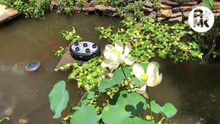 AMK Oase Screenmatic UV Quintet Pump Eco Premium Pond Installation with Review [upl. by Darrow]