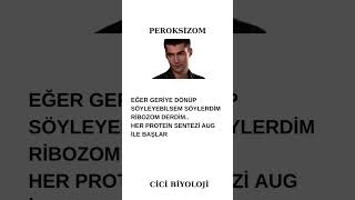 Peroksizom Her protein sentezi AUG ile başlar [upl. by Adiahs]