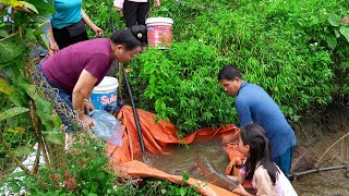 Fish Pond Renovation Fish Harvesting and Selling Lunch with Daughter  Family Farm [upl. by Henke495]