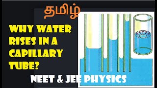 CAPILLARITY  Why water rises in a capillary tube ll SURFACE TENSION ll NEET PHYSICS IN TAMIL ll [upl. by Newbill]