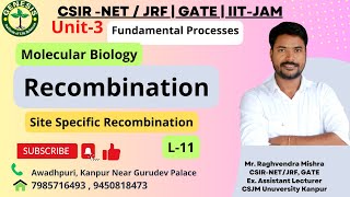 Site Specific Recombination  Bacteriophage Lambda  Molecular Biology  Lecture11 [upl. by Bruning135]