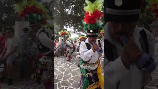 DANZA GUADALUPANA VENADO SLP [upl. by Akinom]