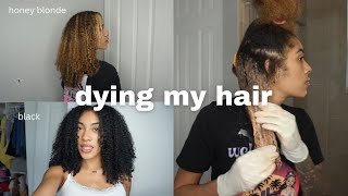 DYING MY CURLY HAIR  honey blonde ➡️ black [upl. by Hurd977]