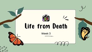 Life From Death  Suffering KKTV [upl. by Lennie]