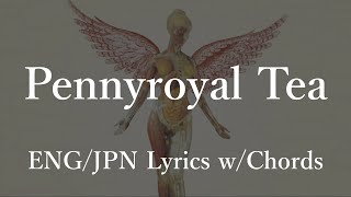 Nirvana  Pennyroyal Tea Lyrics wChords 和訳 コード [upl. by Ku700]