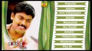 Hits Of Vidhu Prathap Vol2  Romantic Album  Malayalam [upl. by Neenaej]