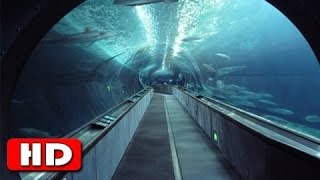 The Chunnel  Worlds Longest Underwater Tunnel  History Channel HD [upl. by Amadis472]