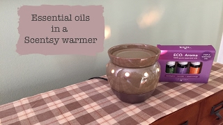 Essential oils in a Scentsy warmer [upl. by Paule]