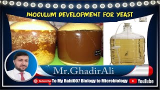 Inoculum Development for Yeast [upl. by Burny]