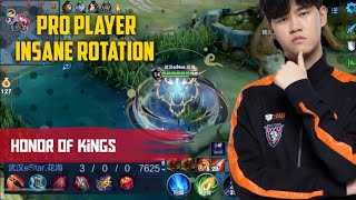 Honor Of Kings  Pro Player Insane Rotation Gameplay  King Of Glory [upl. by Aitnahc]