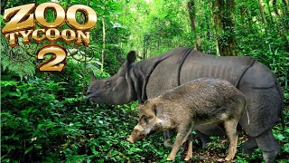 Zoo Tycoon 2Javan Rhino and Visayan Warty Pig Speedbuild [upl. by Mahan]