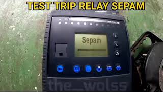 Relay Sepam [upl. by Euton136]