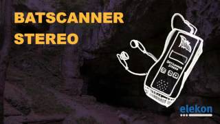 BATSCANNER STEREO  Stereo bat detector audio demo [upl. by Eutnoj]